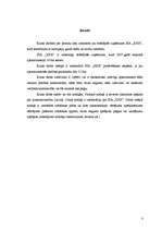 Referāts 'SIA "XXX" ražošanas plāns', 3.