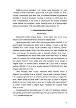 Referāts 'SIA "XXX" ražošanas plāns', 11.