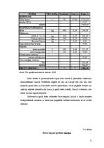 Referāts 'SIA "XXX" ražošanas plāns', 15.