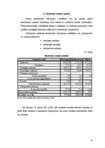 Referāts 'SIA "XXX" ražošanas plāns', 18.