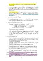 Paraugs 'Apkalpošanas līgums', 3.