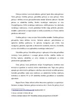 Eseja 'Policija', 2.