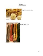 Referāts 'Dziju krāsošana', 10.