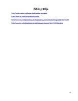 Referāts 'Dziju krāsošana', 12.