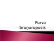 Prezentācija 'Purva bruņurupucis', 1.