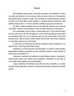 Referāts 'Cilvēka acs', 3.