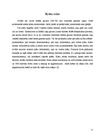 Referāts 'Cilvēka acs', 12.