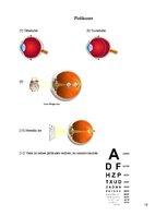 Referāts 'Cilvēka acs', 16.