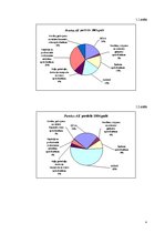 Referāts 'A/s "Parekss apdrošināšanas kompānija" portfeļa un finanšu rādītāju analīze', 4.