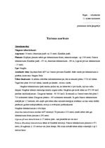 Konspekts 'Tūrisma maršruts pa kontinentiem', 1.