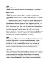 Konspekts 'Tūrisma maršruts pa kontinentiem', 4.