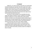 Prakses atskaite 'Tirgzinību prakses atskaite', 9.