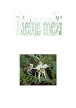 Referāts 'Lietus meži', 1.