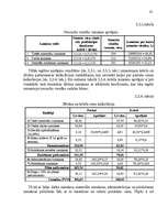 Referāts 'Investīciju projektu efektivitātes novērtēšana ražošanā', 32.