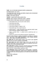 Konspekts 'Ekonomikas palīgs vidusskolēniem', 24.