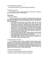 Referāts 'Līzings', 7.