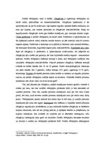 Konspekts 'Finanšu instrumentu veidi', 2.