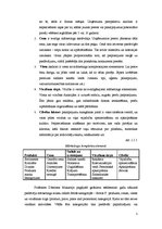 Referāts 'SIA "Latvija Statoil" mārketinga kompleksa pasākumi', 5.