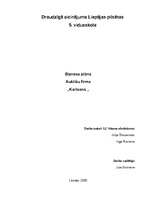 Biznesa plāns 'Aukīšu firma "Karlsons"', 1.