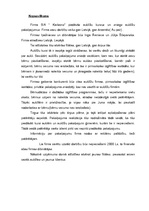 Biznesa plāns 'Aukīšu firma "Karlsons"', 3.