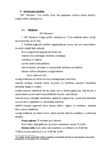 Biznesa plāns 'Aukīšu firma "Karlsons"', 4.