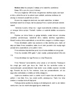 Biznesa plāns 'Aukīšu firma "Karlsons"', 5.