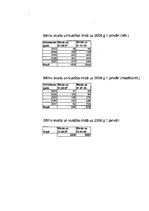 Biznesa plāns 'Aukīšu firma "Karlsons"', 12.