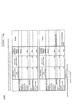 Biznesa plāns 'Aukīšu firma "Karlsons"', 13.