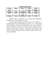 Biznesa plāns 'Aukīšu firma "Karlsons"', 18.