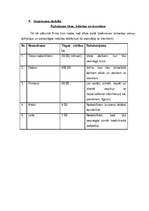 Biznesa plāns 'Aukīšu firma "Karlsons"', 19.