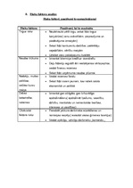 Biznesa plāns 'Aukīšu firma "Karlsons"', 21.