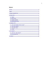 Referāts 'Tirgus pētījums. Priekšapmaksas sarunu karte "Zelta zivtiņa"', 2.