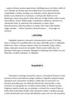 Konspekts 'Ķīna', 7.