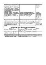 Konspekts 'Daugavpils aktuālākās vides problēmas 2002.gadā', 4.