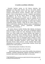 Konspekts 'Romiešu tiesības', 4.