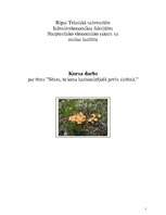 Referāts 'Sēnes, to loma harmonizējošā preču sistēmā', 1.