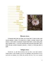 Referāts 'Sēnes, to loma harmonizējošā preču sistēmā', 12.