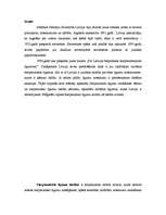 Referāts 'Starptautiskie līgumi', 1.