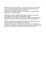 Konspekts 'Satversmes analīze', 5.