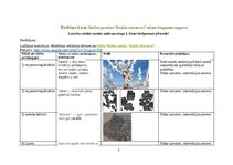 Konspekts 'Darblapa Kārļa Skalbes pasakas “Kaķīša dzirnavas” teksta fragmenta apguvei', 1.