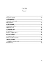 Biznesa plāns 'Biznesa plāns', 2.