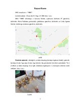 Biznesa plāns 'Biznesa plāns', 3.