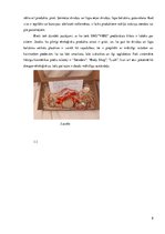 Biznesa plāns 'Biznesa plāns', 8.