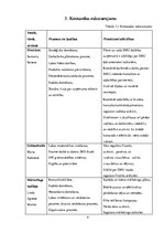 Biznesa plāns 'Biznesa plāns', 9.