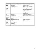 Biznesa plāns 'Biznesa plāns', 10.