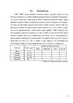 Biznesa plāns 'Biznesa plāns', 12.