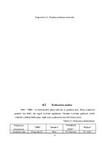 Biznesa plāns 'Biznesa plāns', 13.