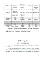 Biznesa plāns 'Biznesa plāns', 14.