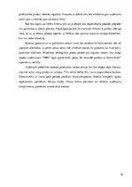 Biznesa plāns 'Biznesa plāns', 16.