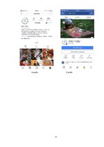 Biznesa plāns 'Biznesa plāns', 17.